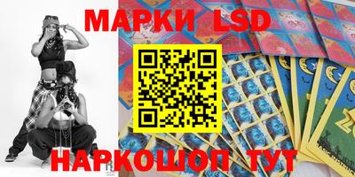 шишки Тверь