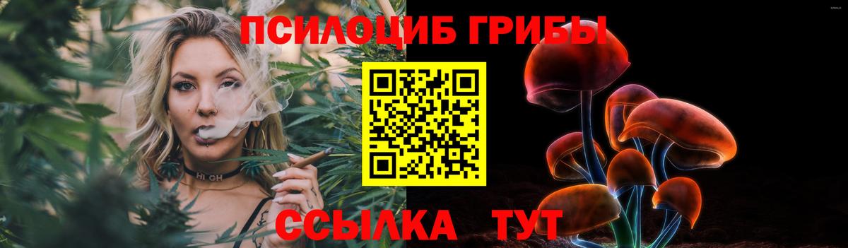 Павловский Посад  Галлюциногенные грибы мицелий  Вход с VPN 