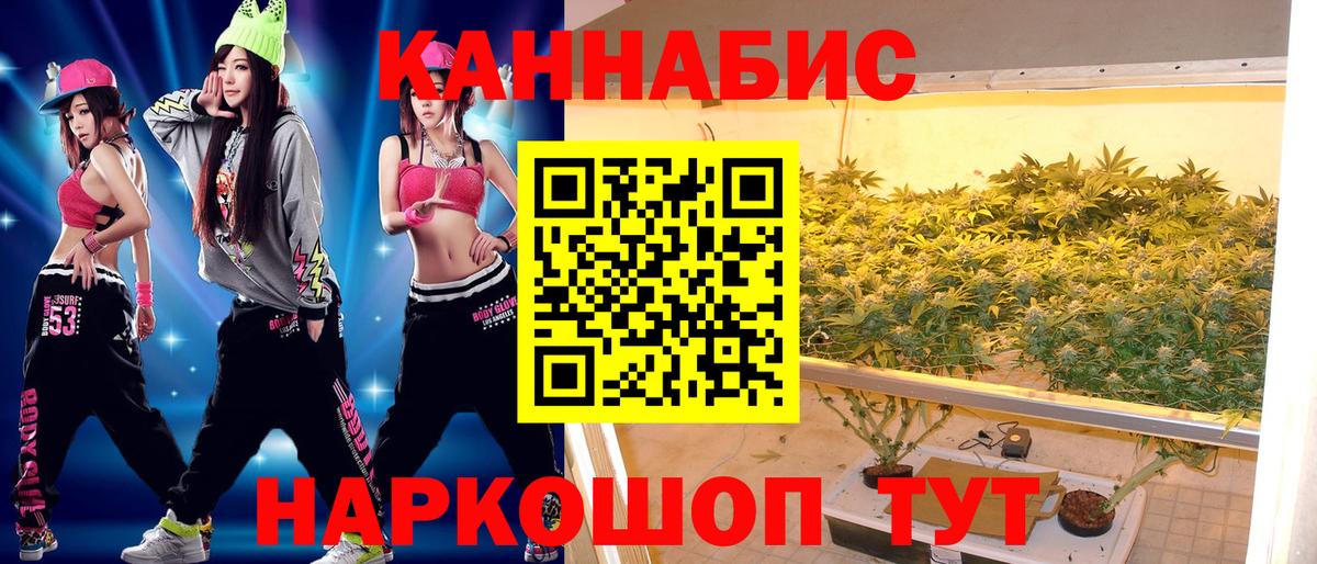 Павловский Посад  МАРИХУАНА VHQ  Канабис THC 21%  Шишки марихуана VHQ  Вход с VPN 